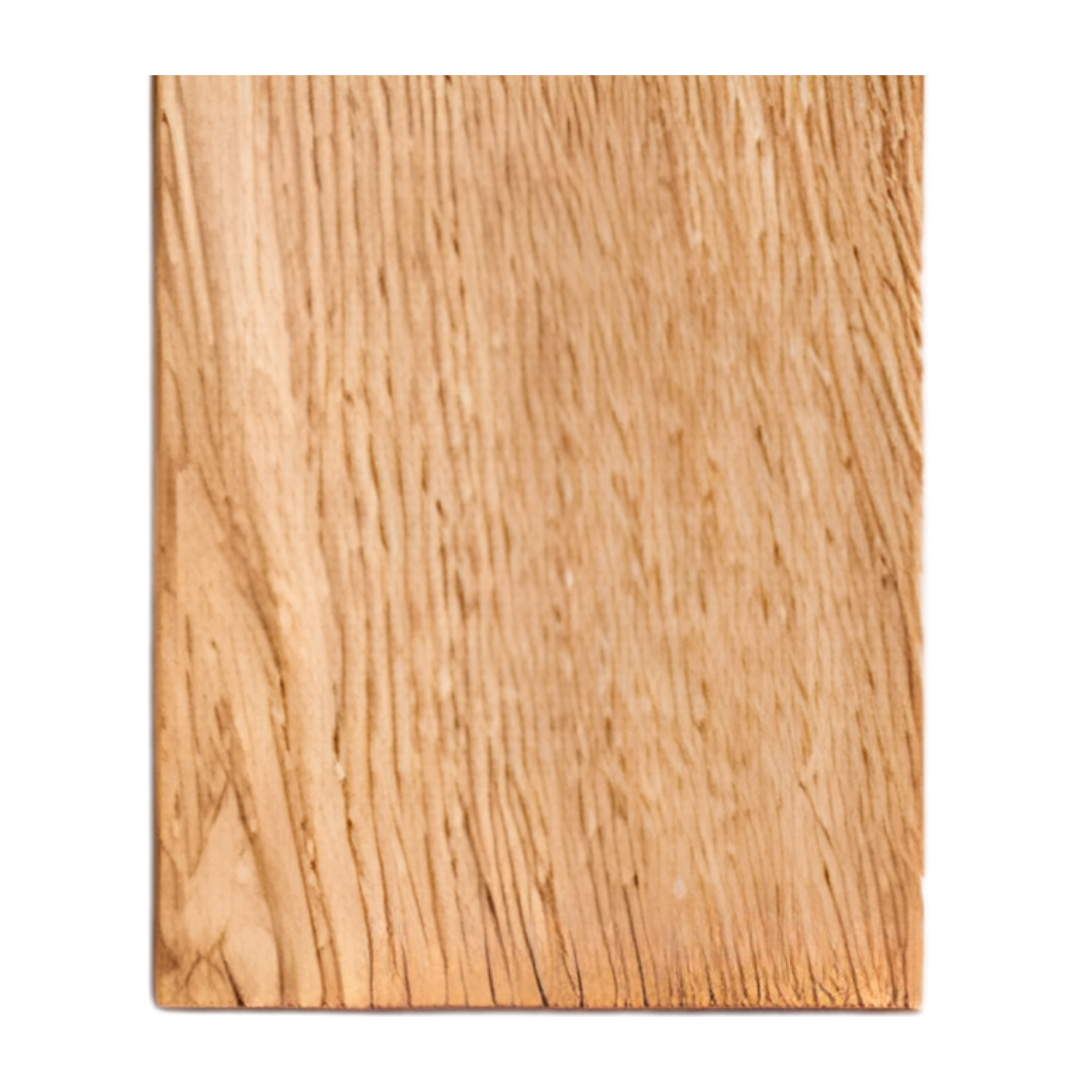 Grey Elm
